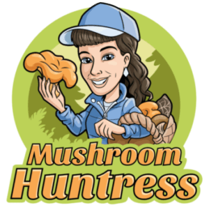 Mushroom Huntress
